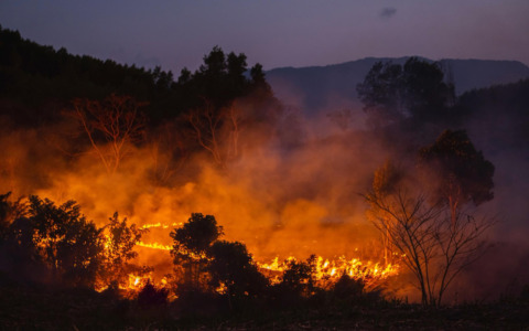 Ancona, incendio riaccende l’allarme sulle Case Gialle
