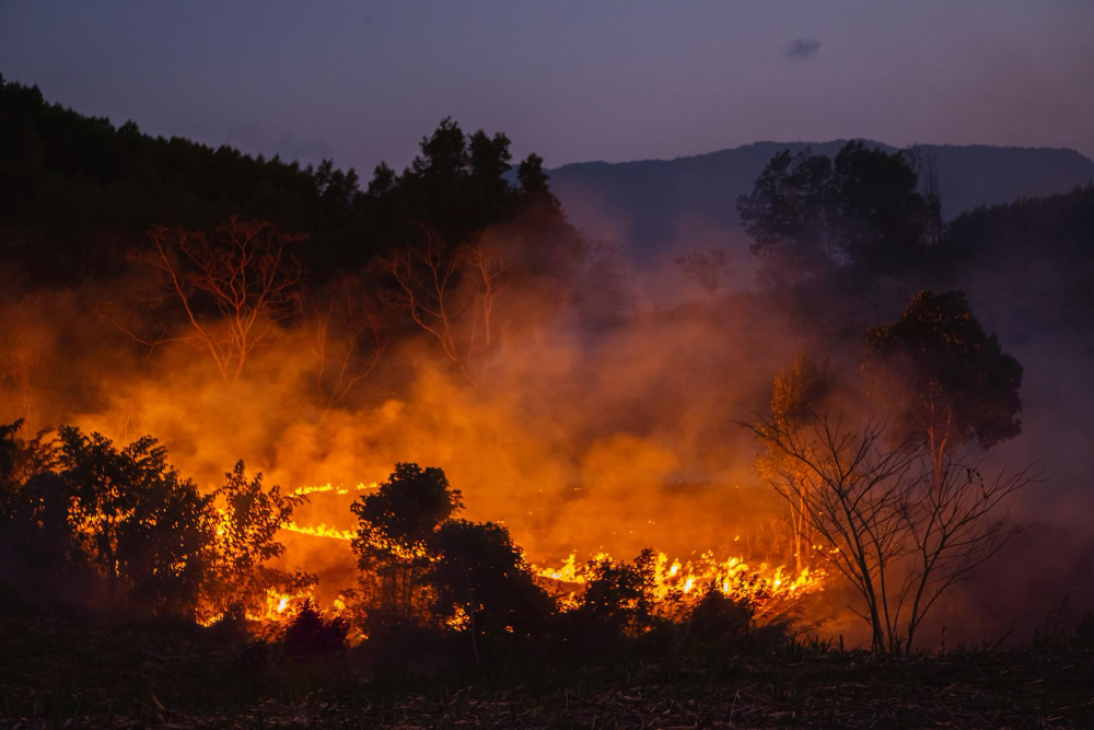 Ancona, incendio riaccende l’allarme sulle Case Gialle